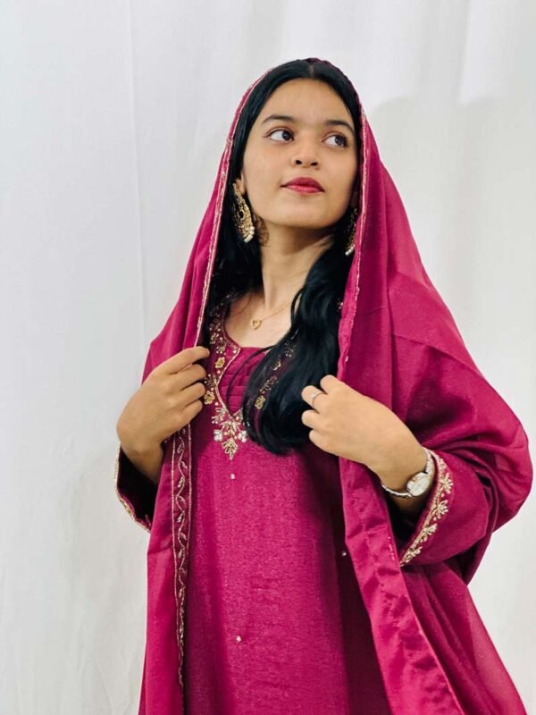 churidar - Image 3